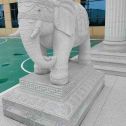 安徽 白麻花岗岩动物异形石雕-大象