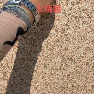 安徽黄金麻火烧面